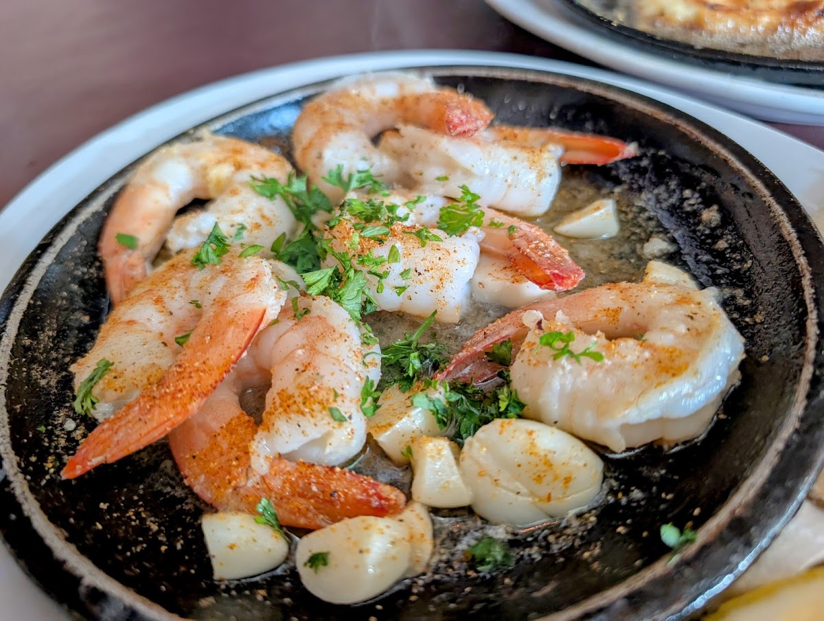 Gus & Guido's Backyard Photos 2